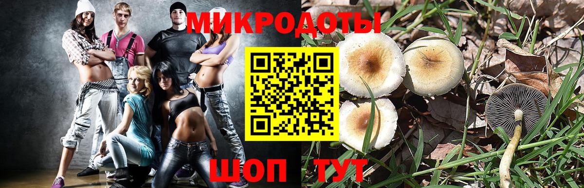 Псилоцибиновые грибы мицелий  закладка  Вход с VPN  Вышний Волочёк  Псилоцибиновые грибы Psilocybine cubensis 